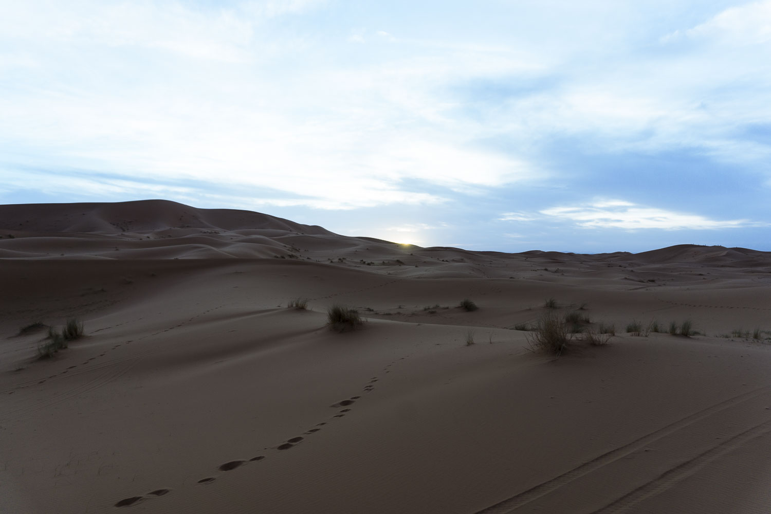 SaharaAtSunset517.JPG