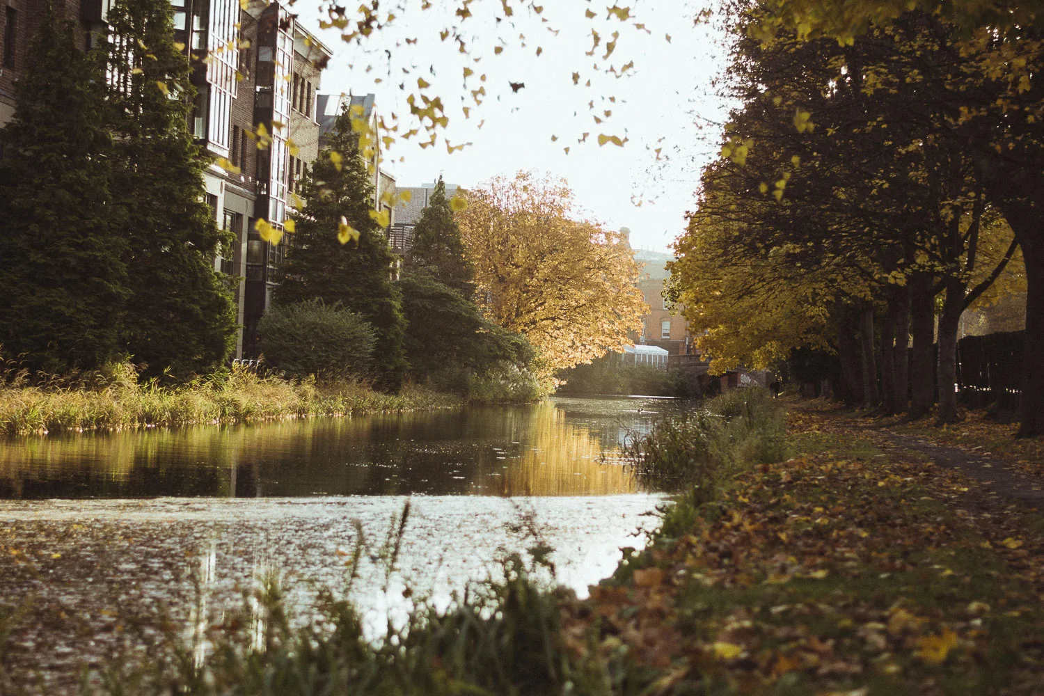 fallstream5585.JPG