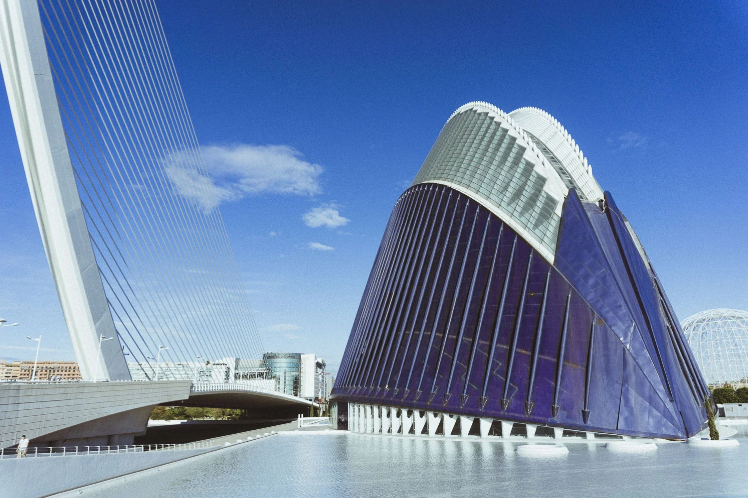 aquarium4780.JPG