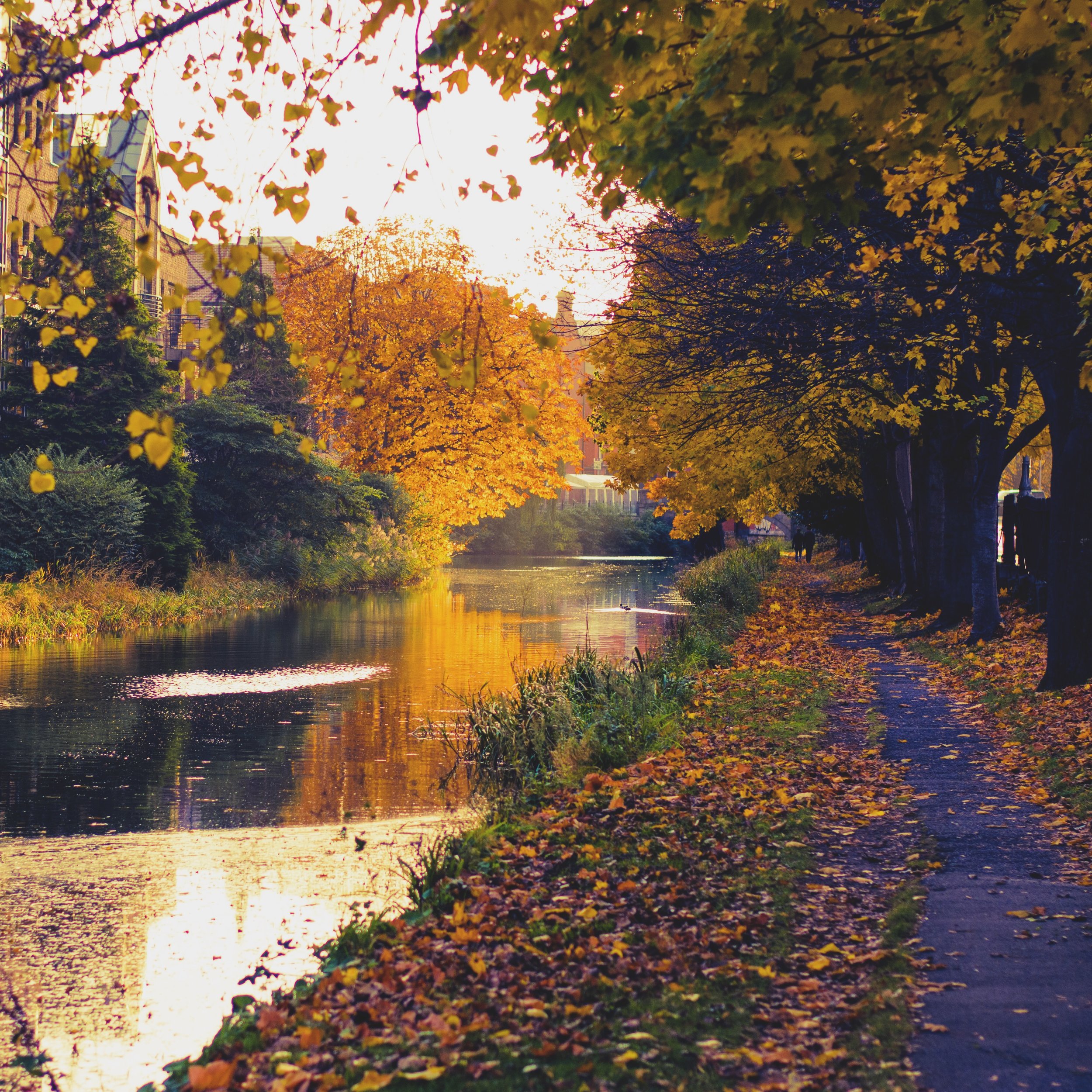 Fall in Ireland.