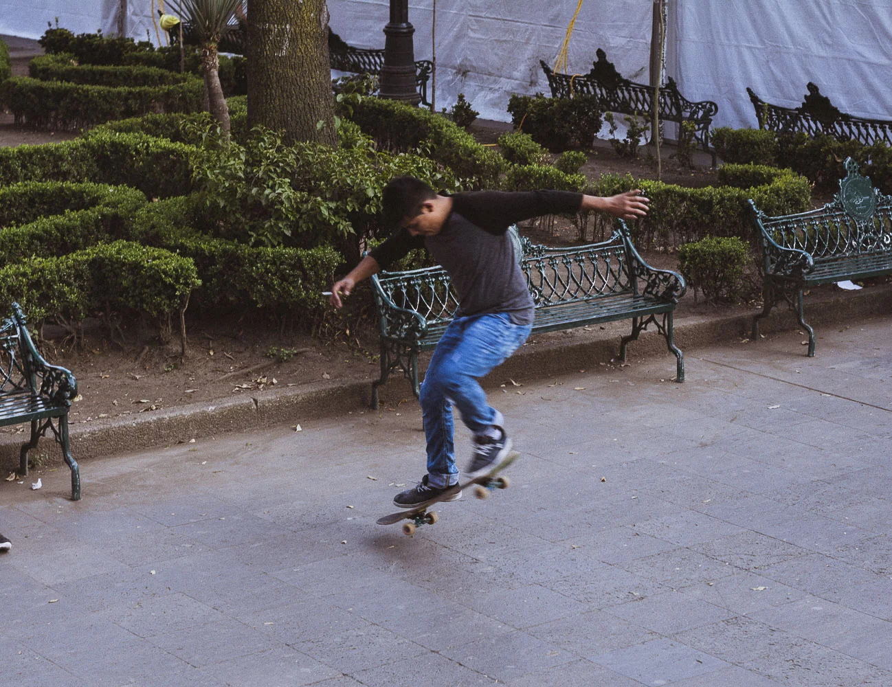 DSC_1211868.JPG