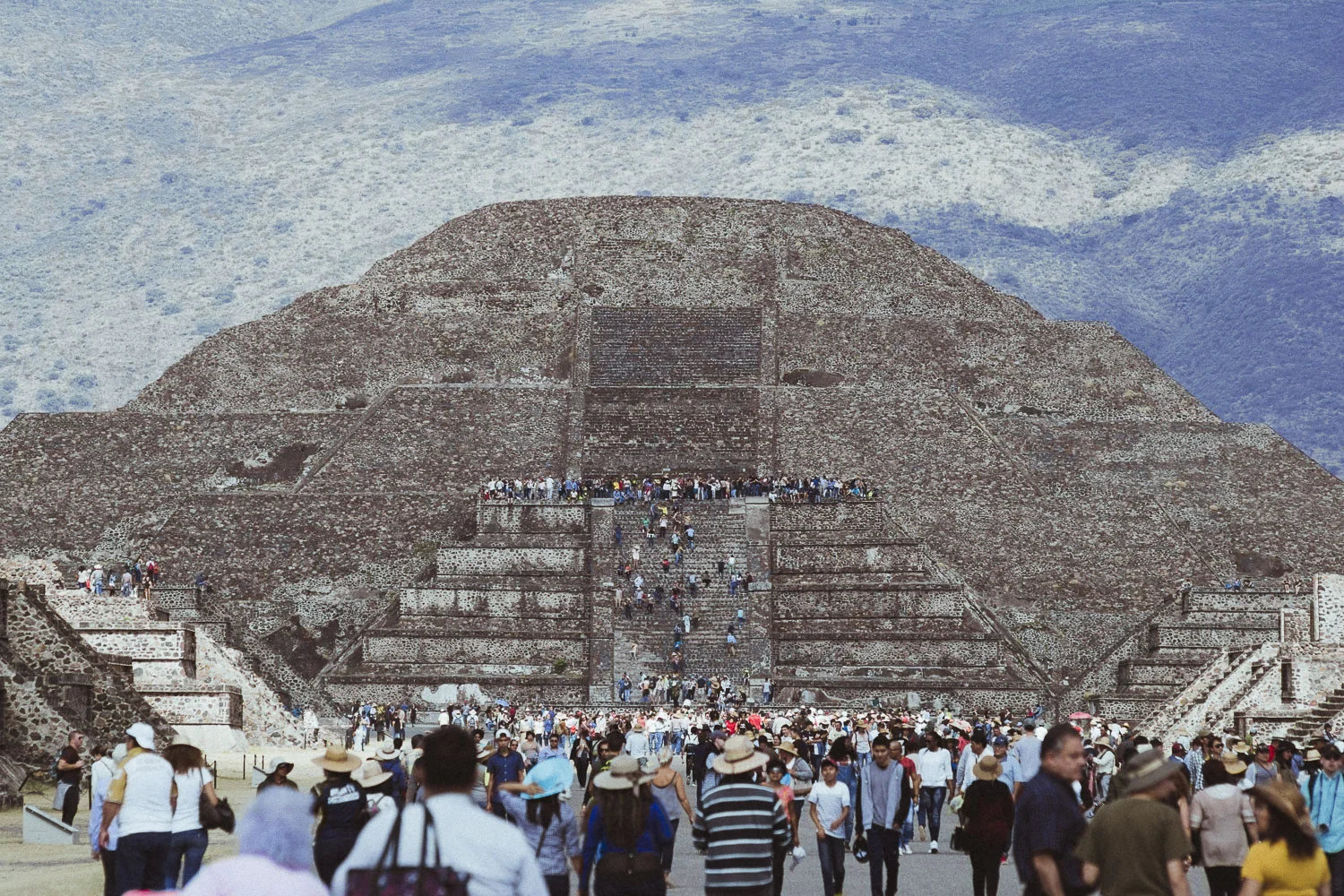 DSC_1512894.JPG