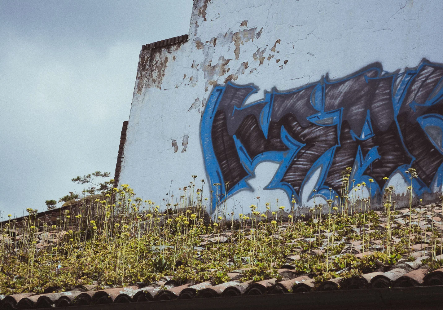DSC_03991018.JPG