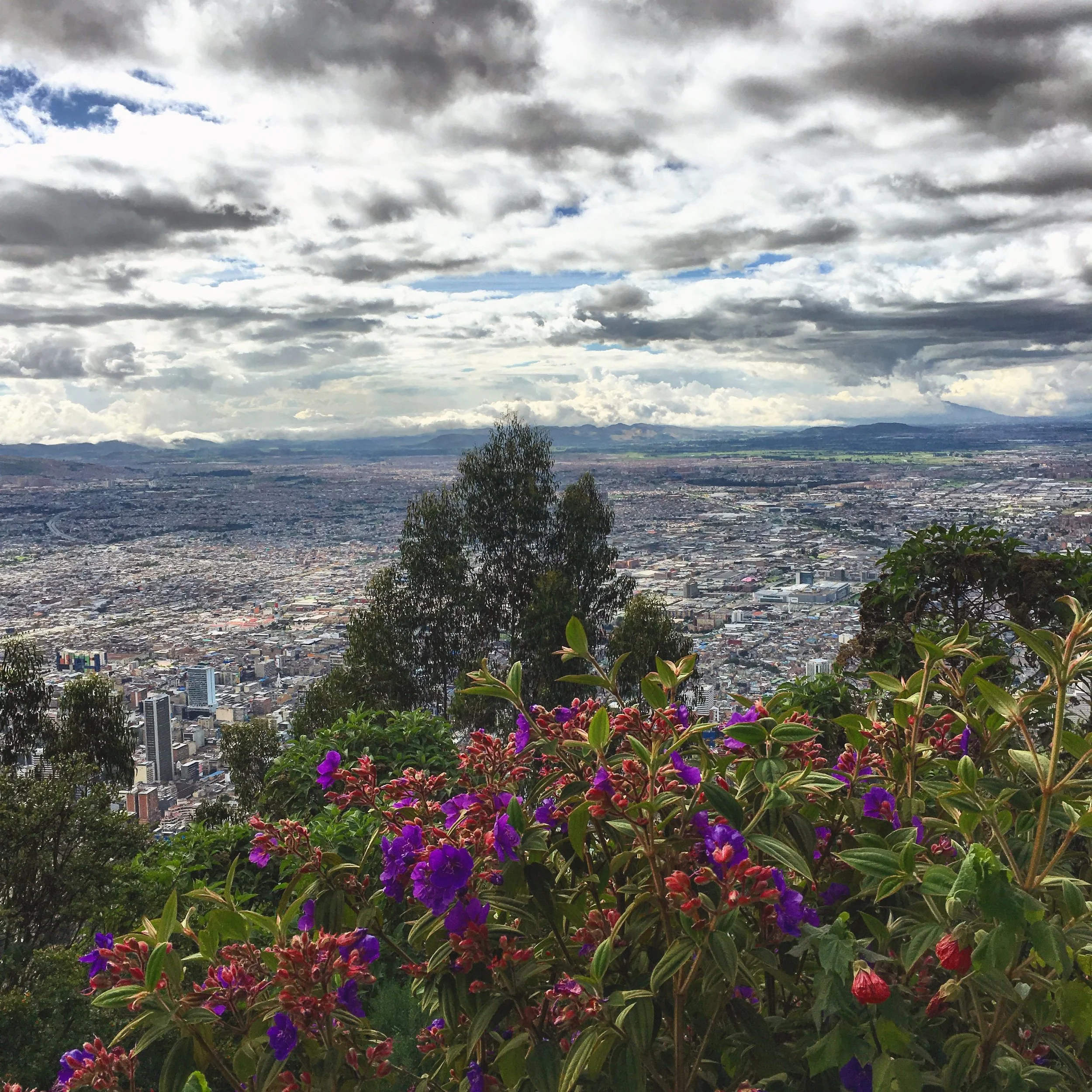 Bogotá