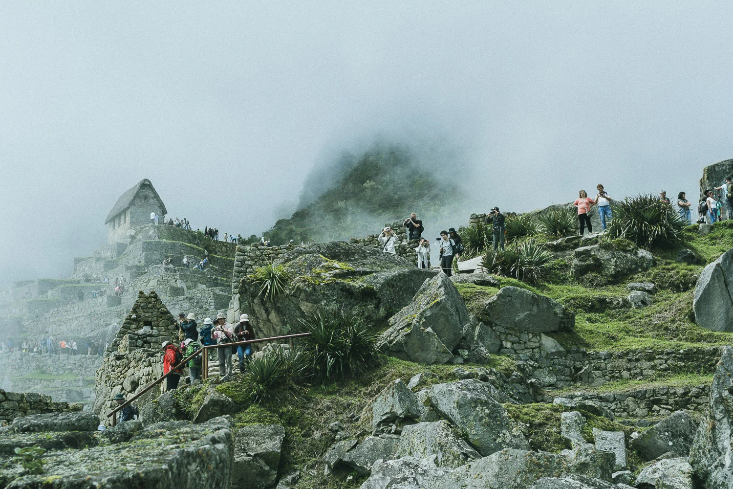 Machu Picchu & Inca Trail