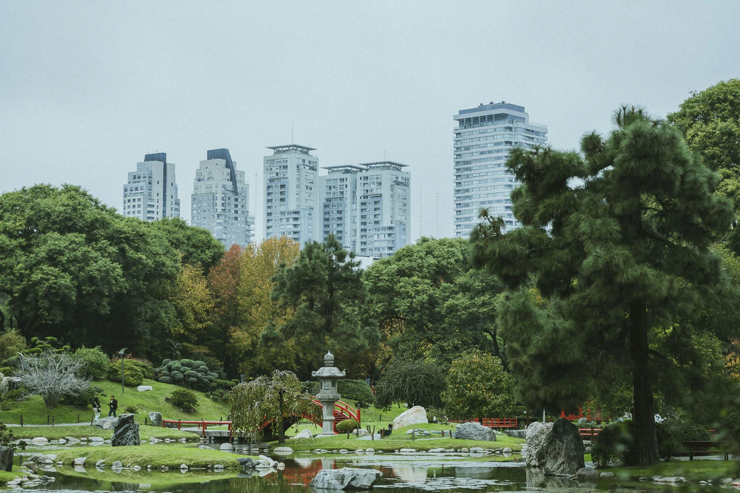 DSC_02622026.JPG