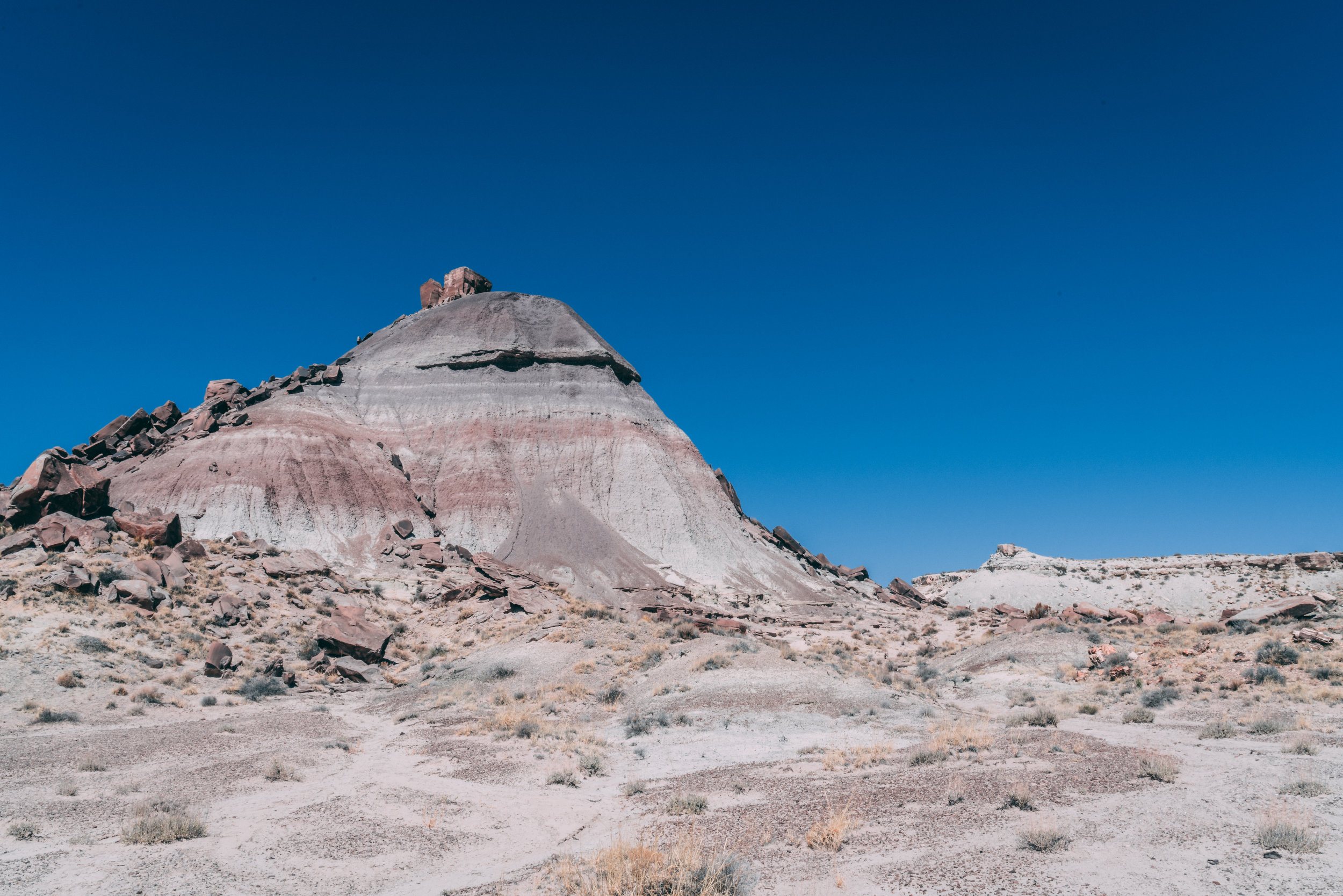 Petrified Forest