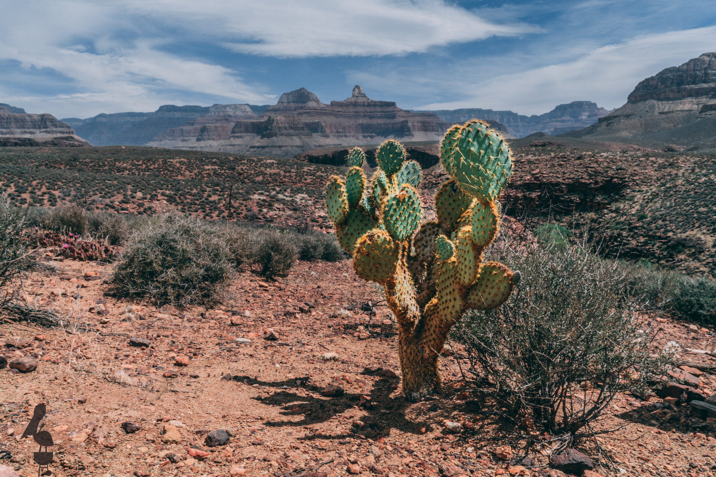 Grand Canyon