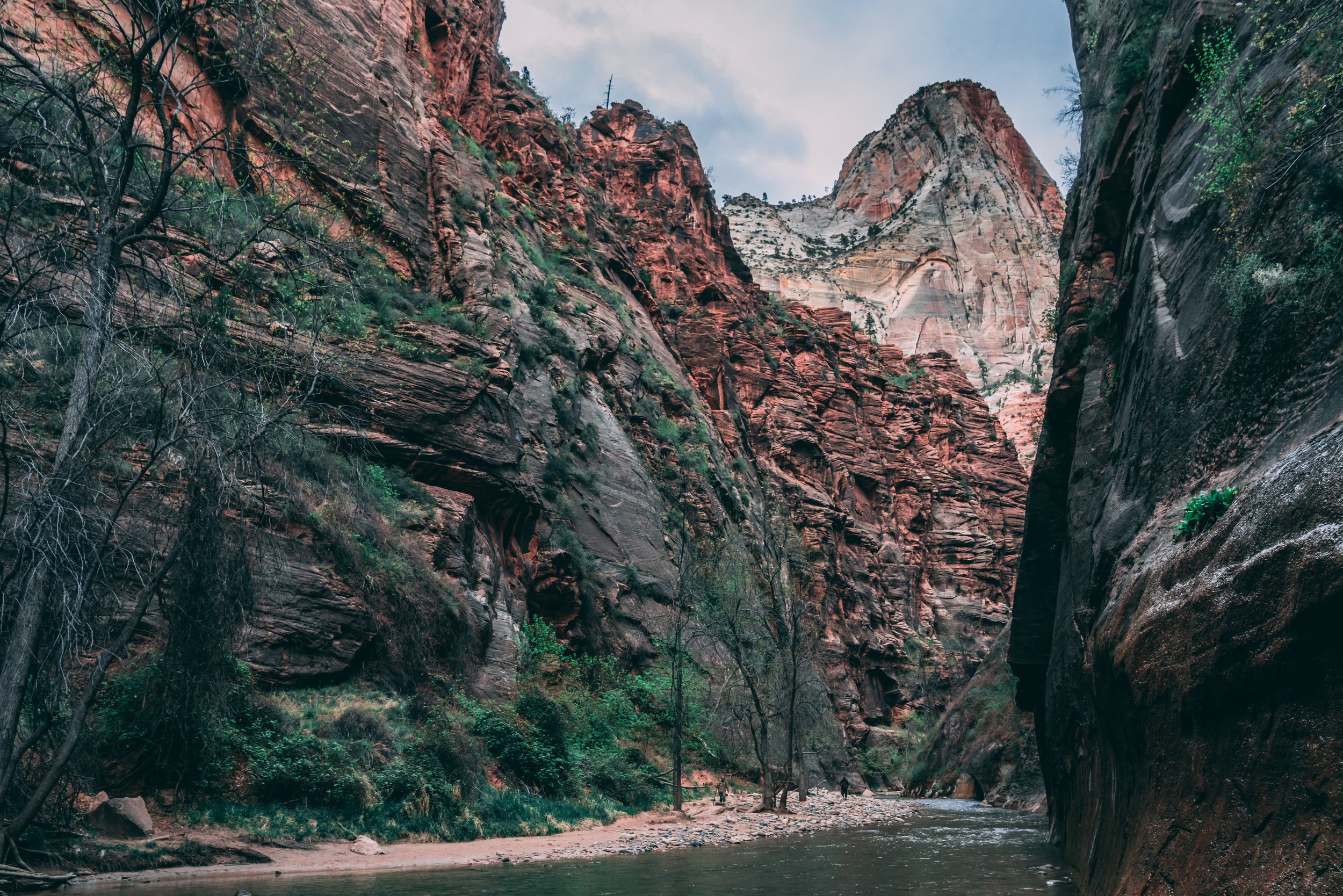 Zion National Park