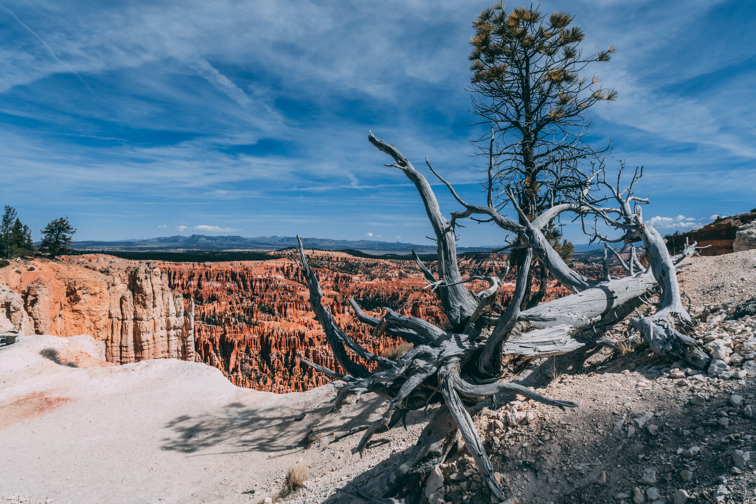 Bryce Canyon