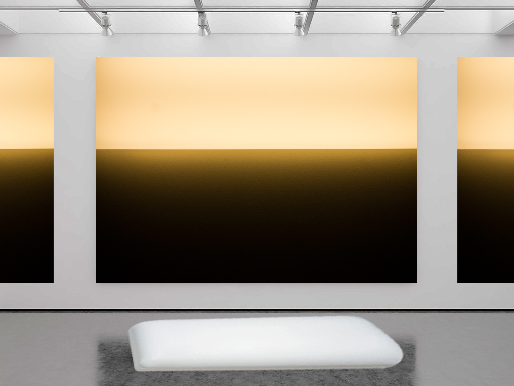 *Mock Installation View - Large Scale Digital Prints (exact sizing N/A) The furnishing and objects within the space are designed out of "puffer tubes".