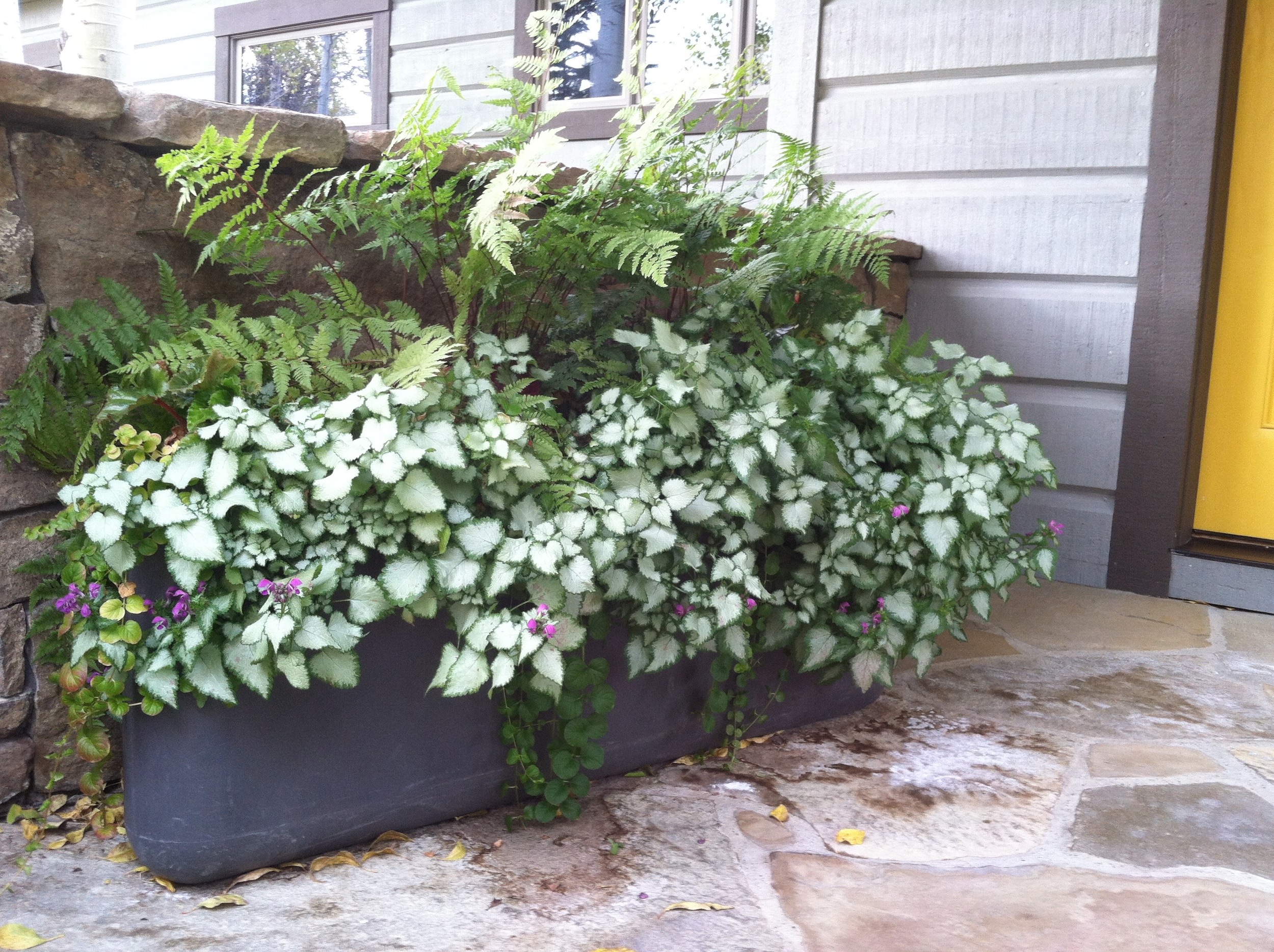 2013-10-03 17.10.22.jpg