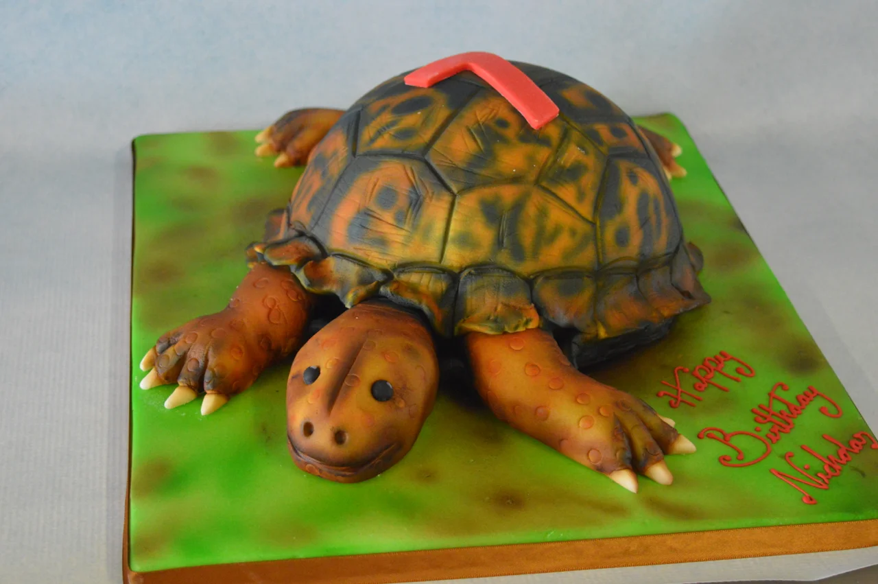 Turtle cake for a 7th birthday cake
