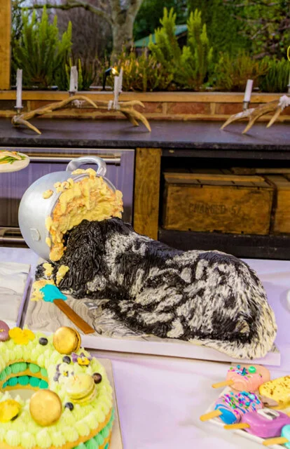 Naughty spaniel eating a cake mixing bowl for James Martin 