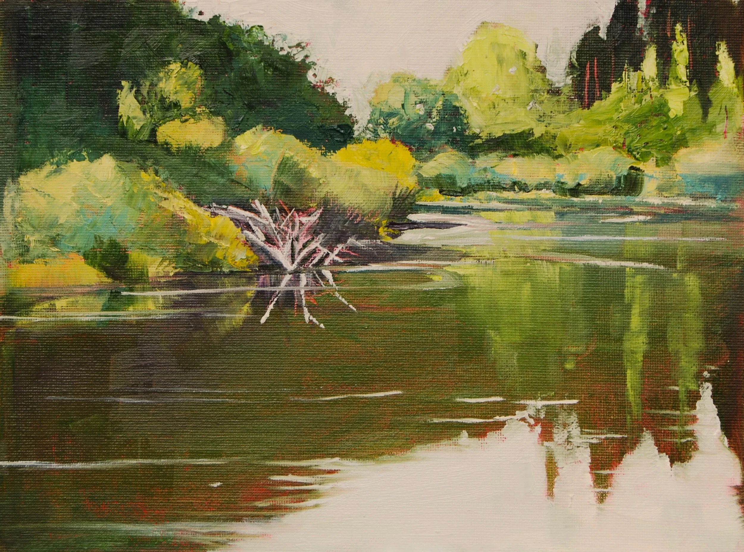 Deschutes Beaverdam