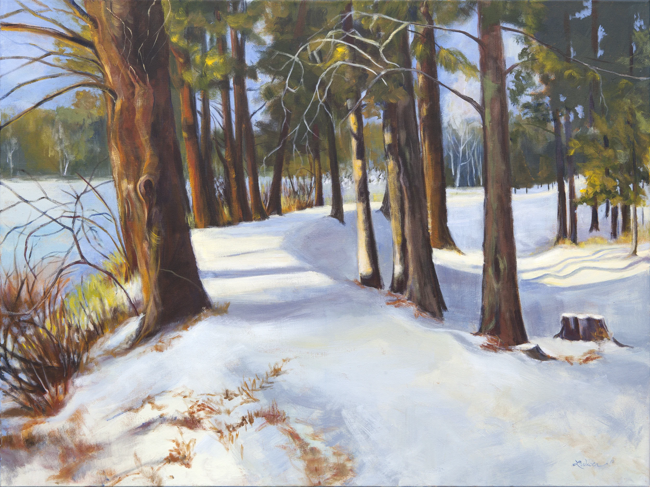 Winter's Touch