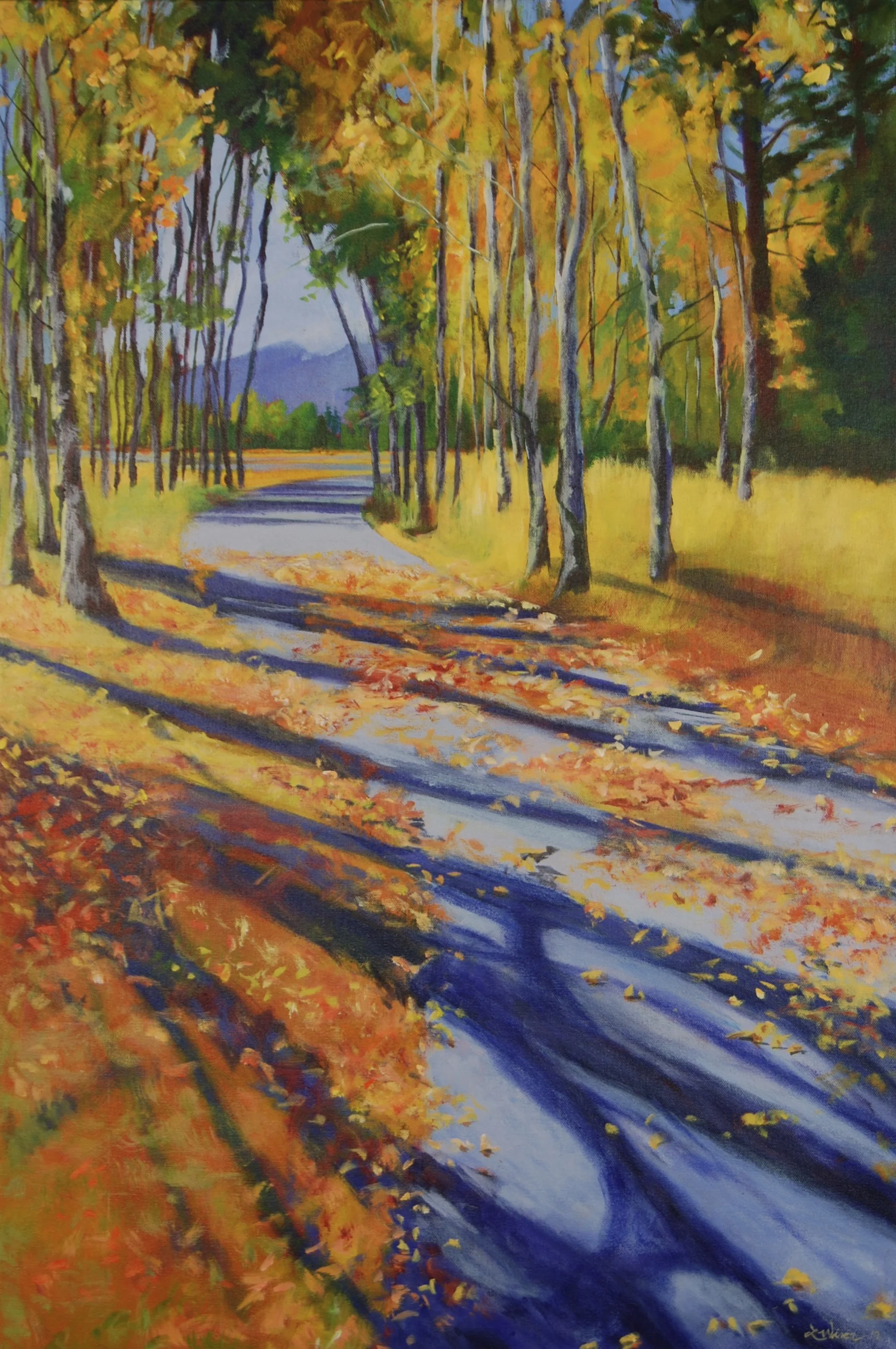 Aspen Shadows