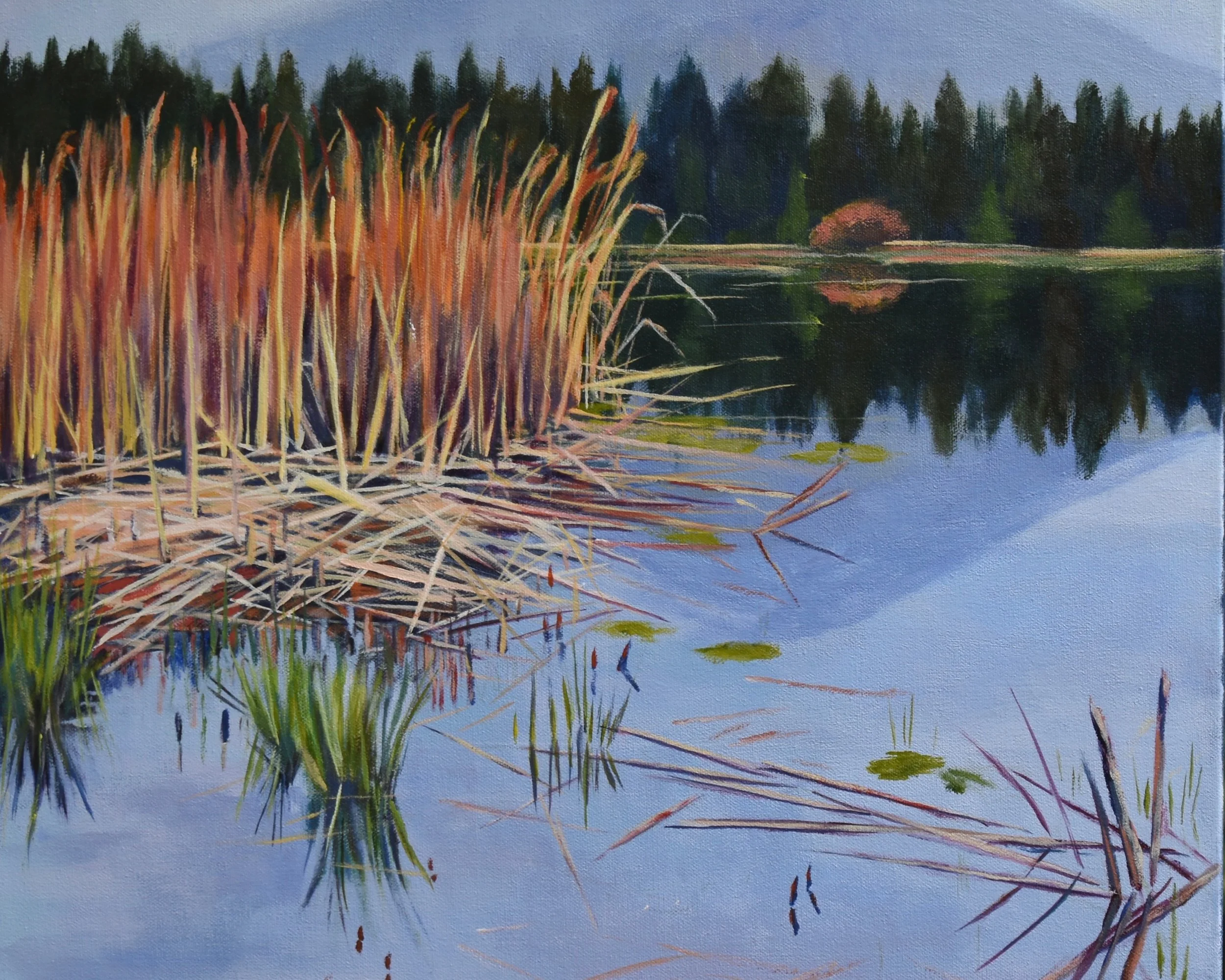 "Ranch Views" a Solo Exhibit by Lisa Wiser