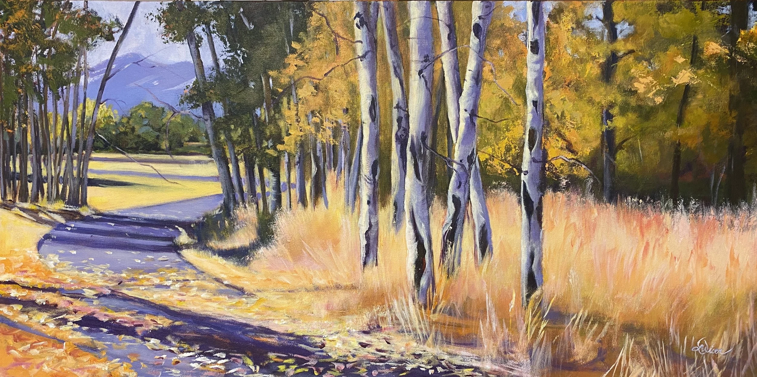 Aspen Shadows