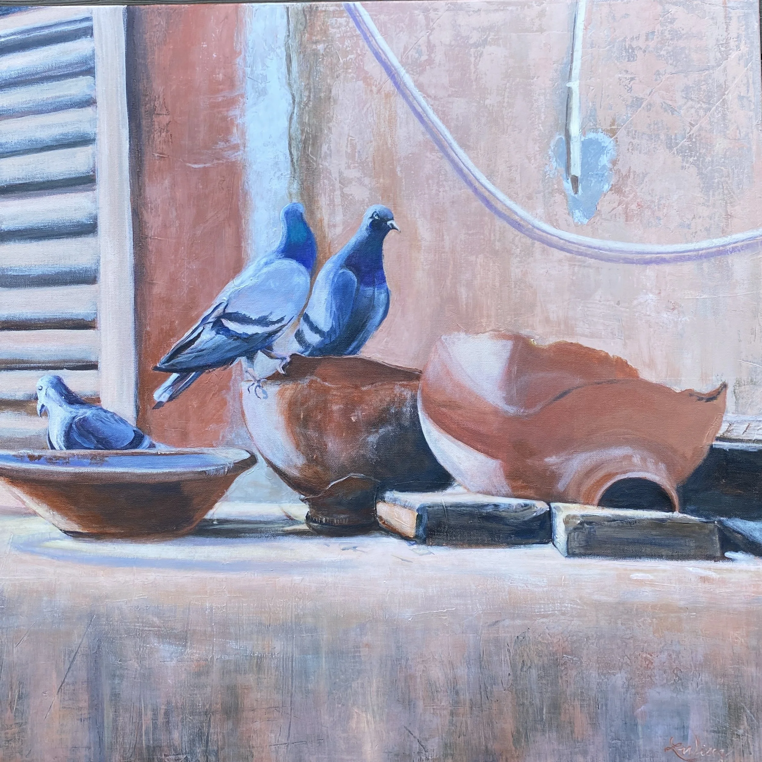 Jaipur Stillife