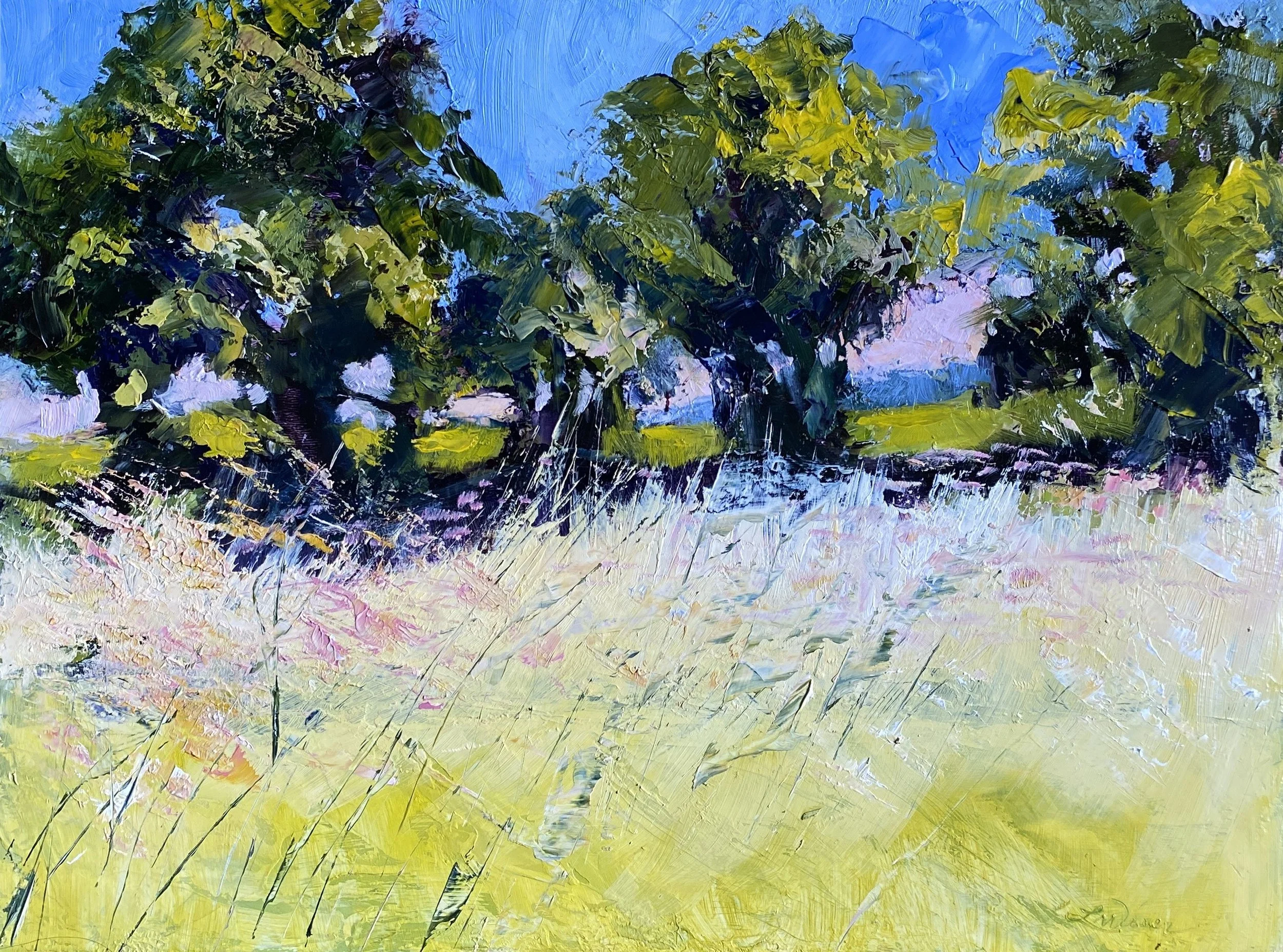 Luscher Farm Shadows