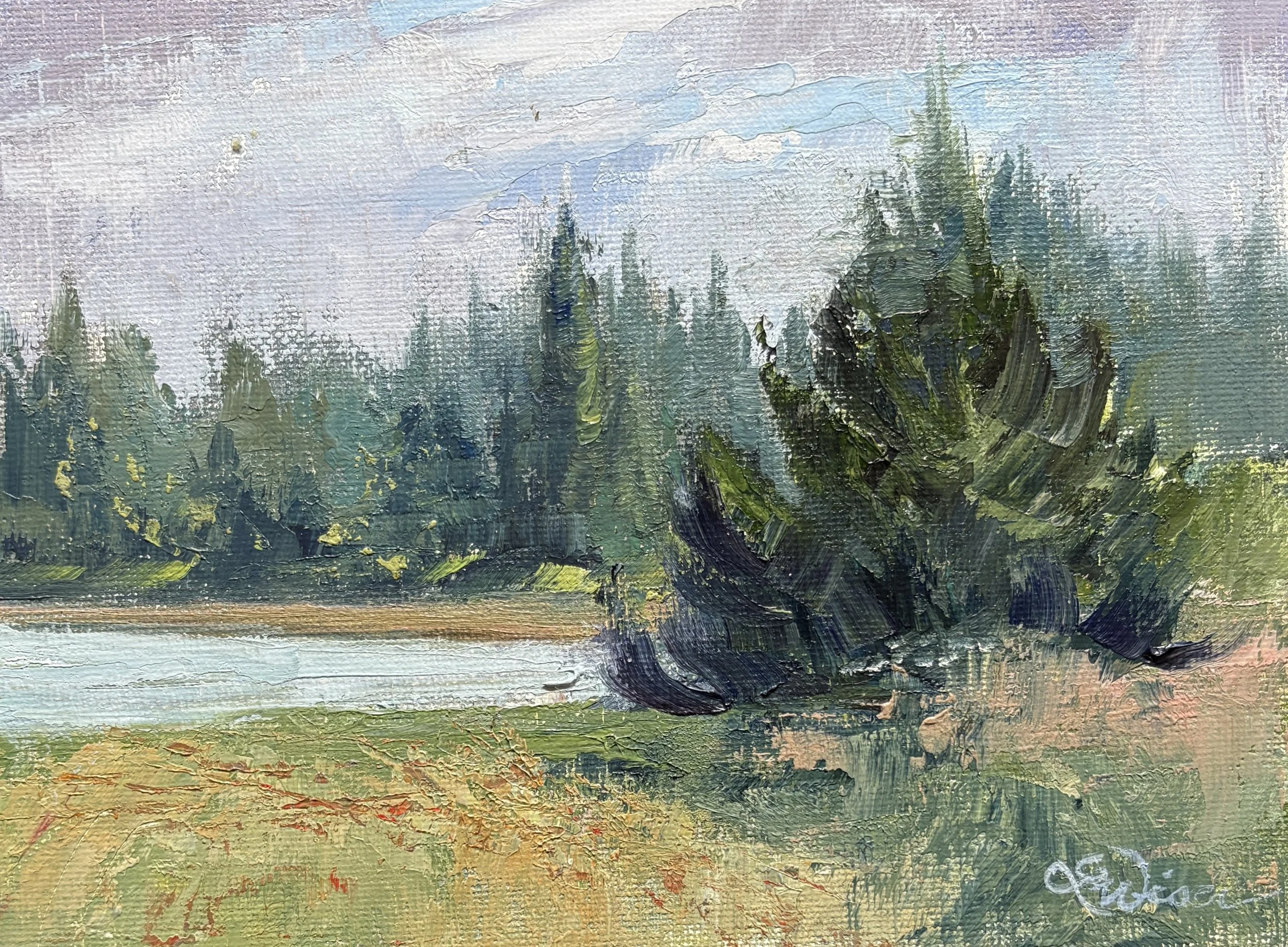 Spring Field Near the Bay