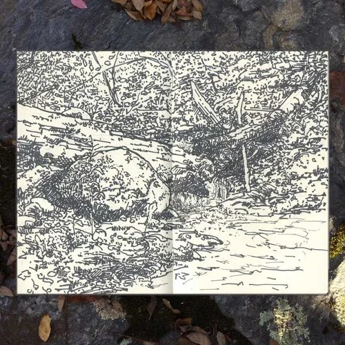 Sketch created during one of my hikes this past summer