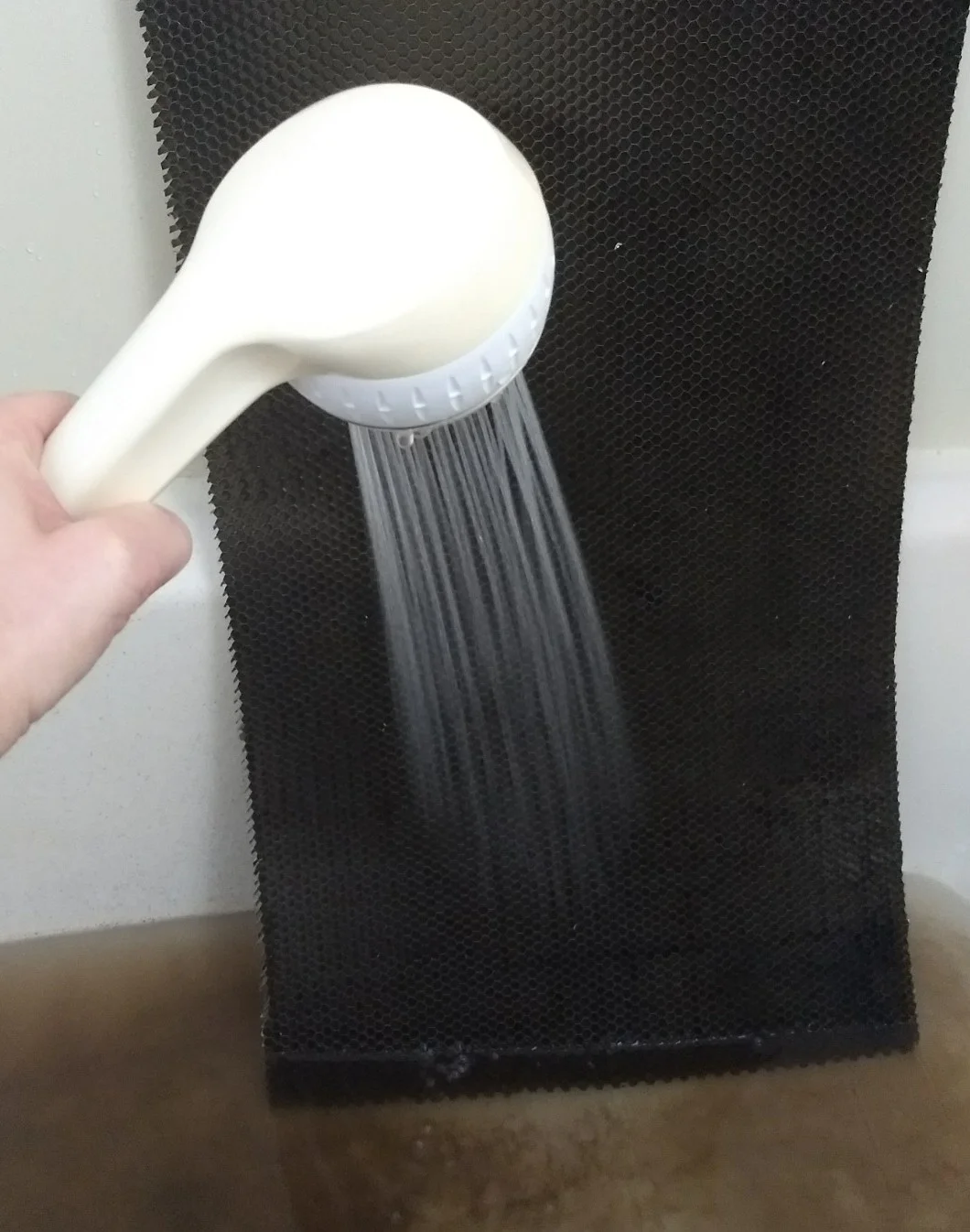 Spraying.jpg