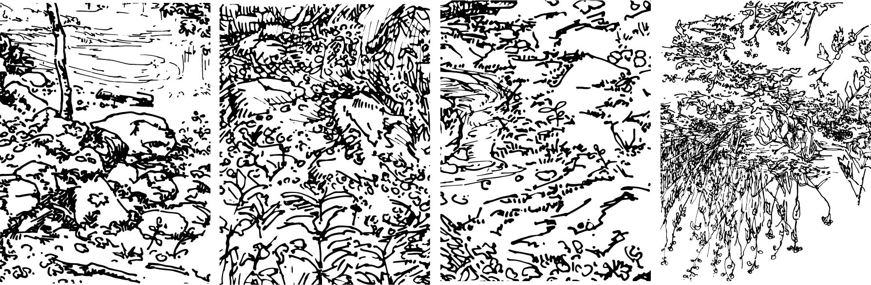 original drawings