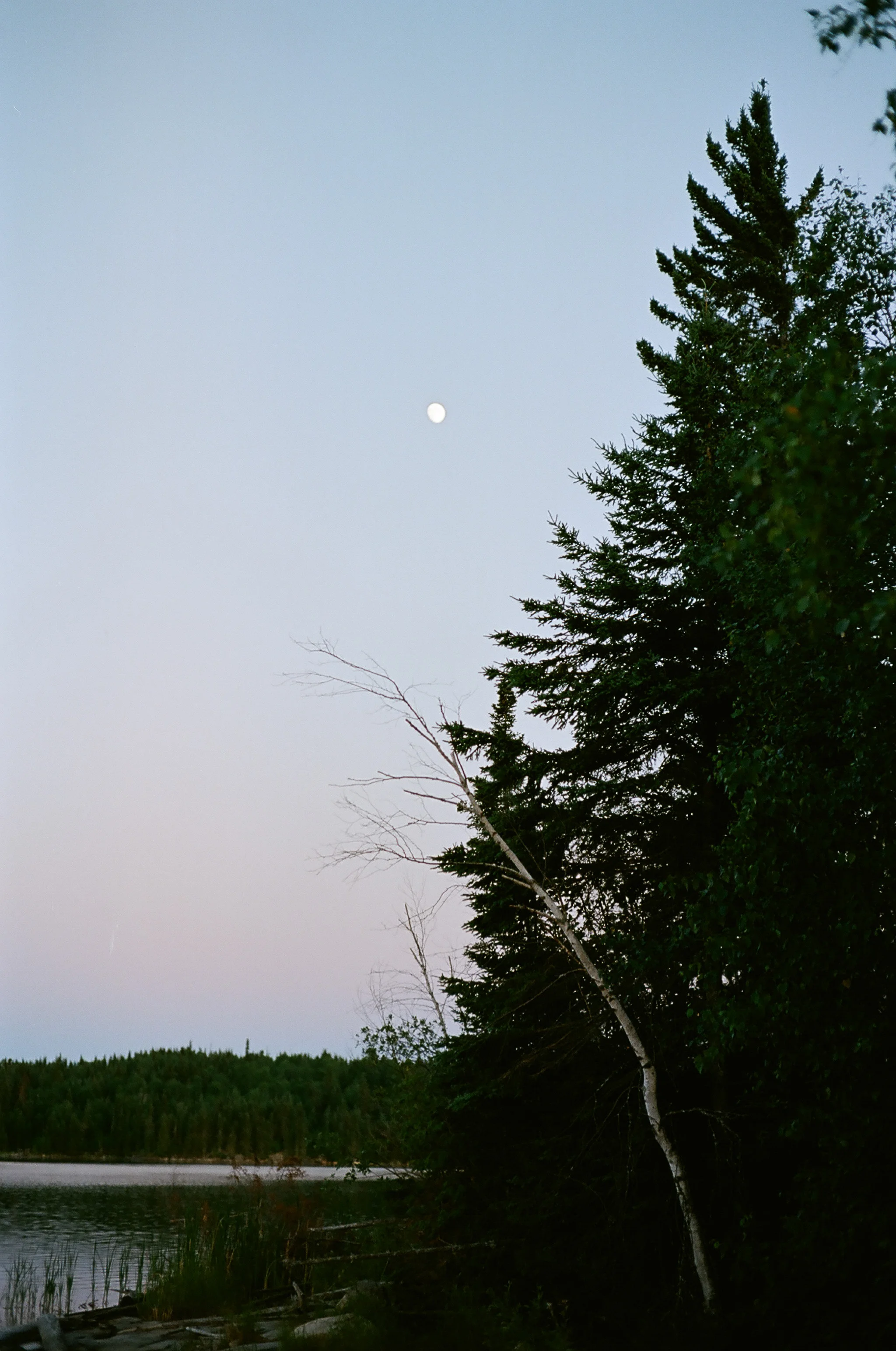 34050032.jpg