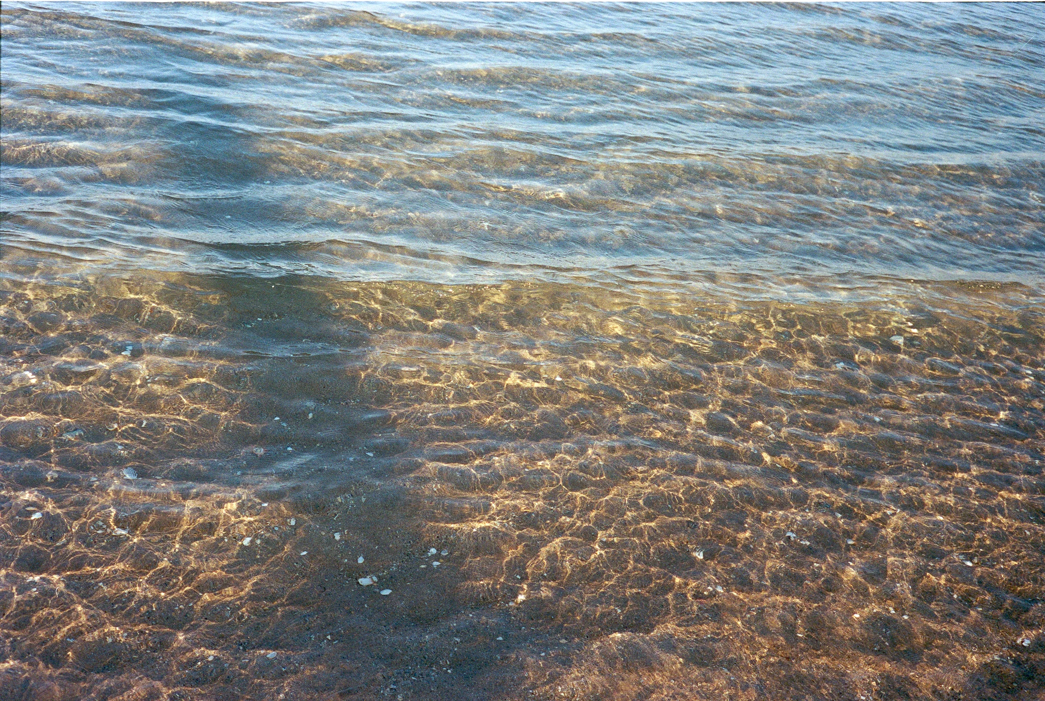 Untitled (265).jpg