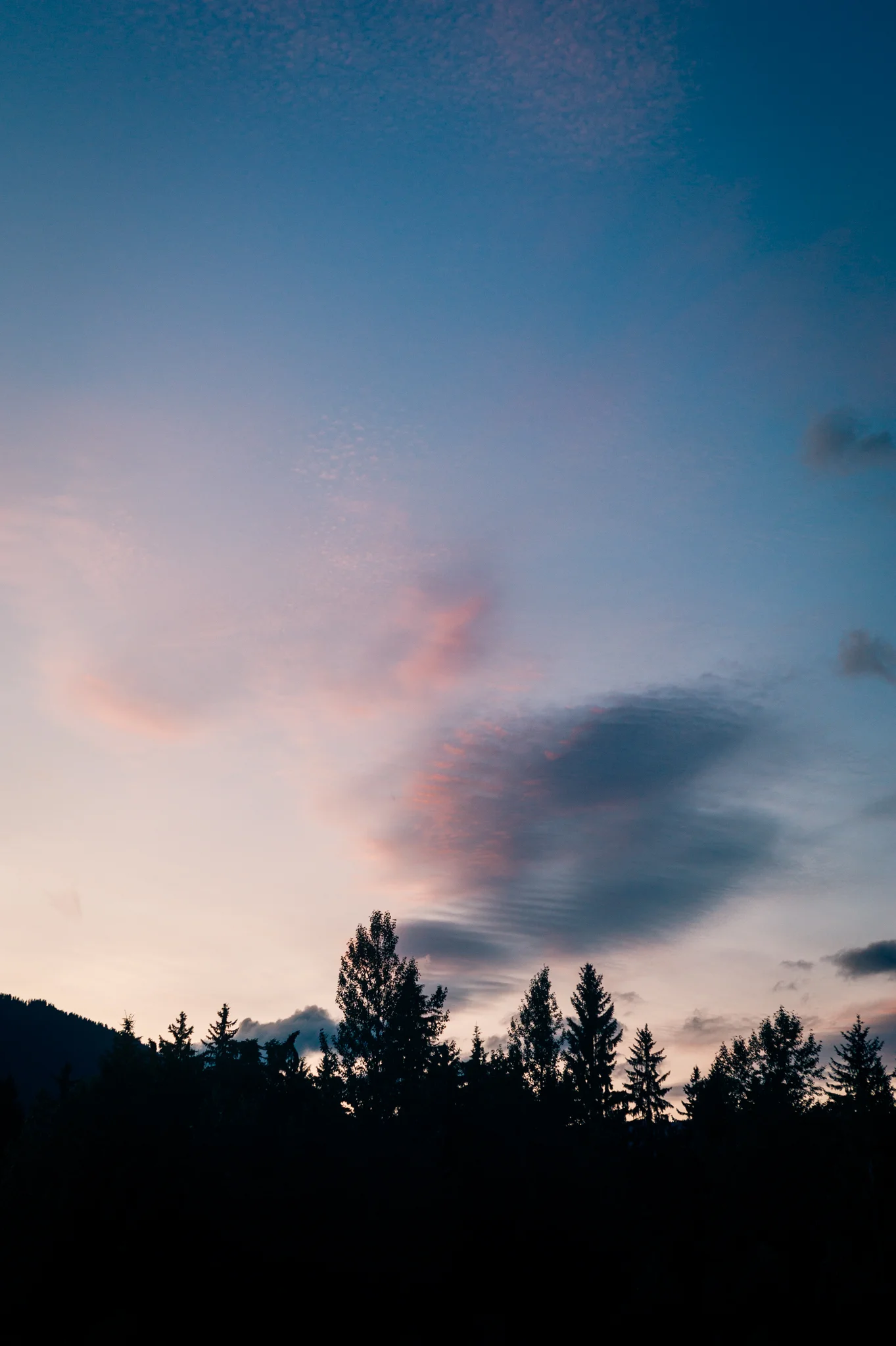 L1006343.jpg