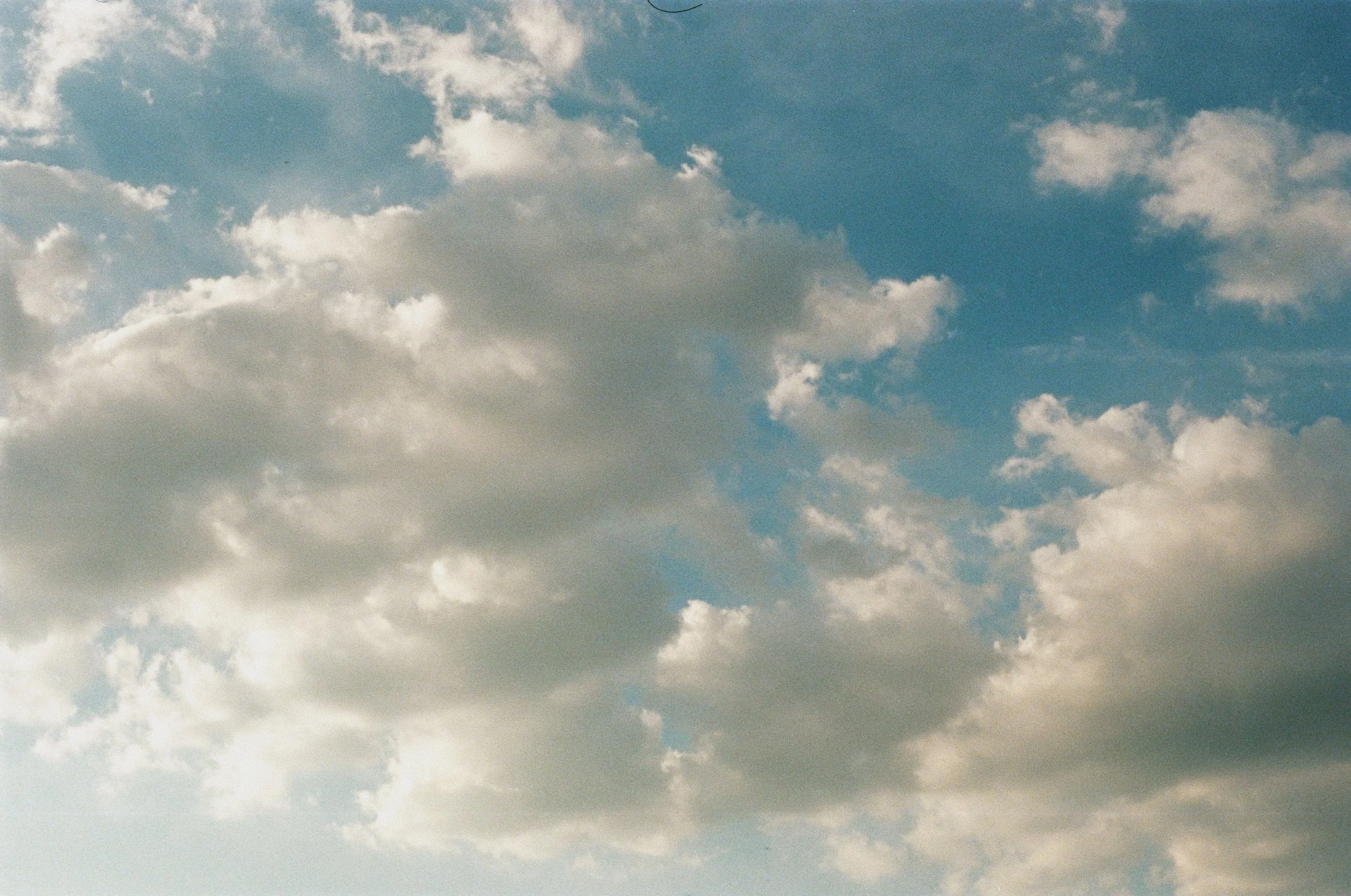 A92E6BDD-10B7-4DD2-8CAF-1BD68A98E8EC.jpeg