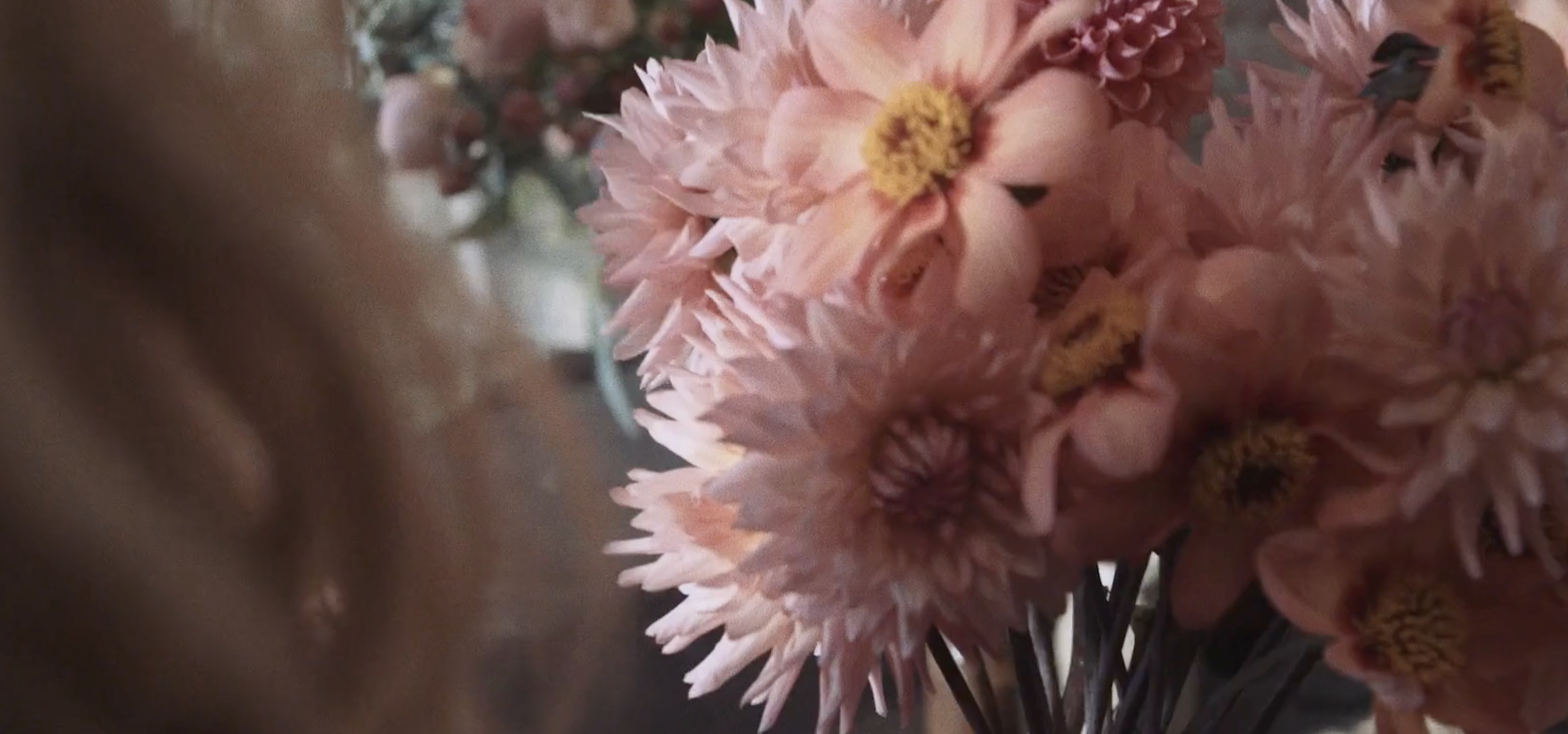 Screenshot 2026-01-23 at 12.38.21 PM.png