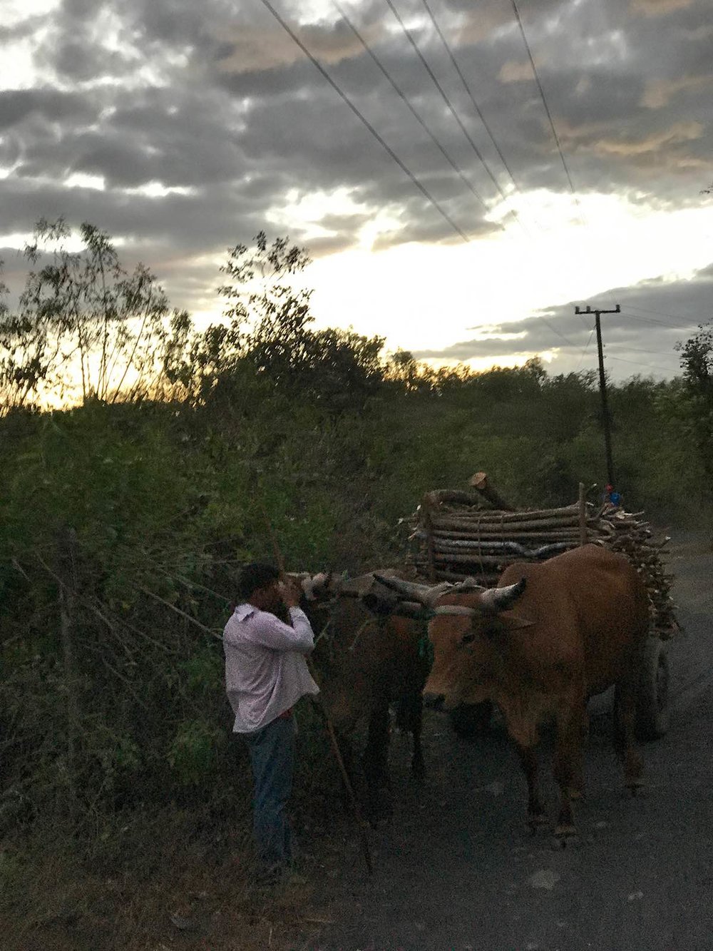 farm in rural Nicaragua just outside of Leon