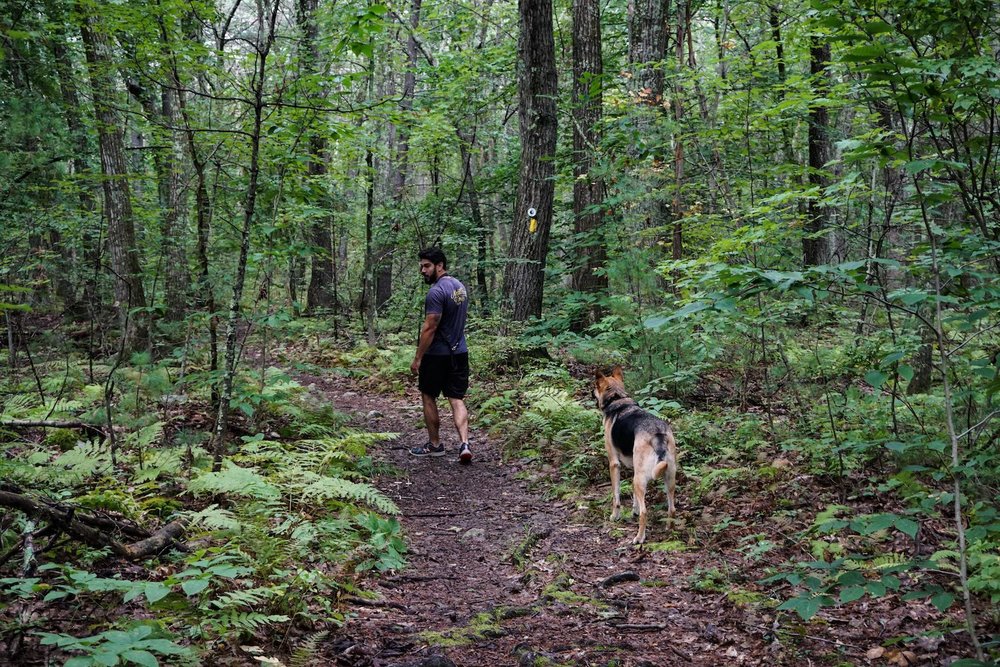 hiking near Boston