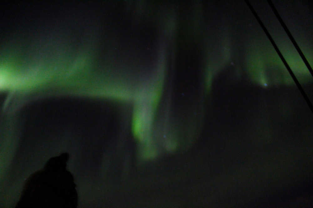 Northern Lights Norway fjord sailboat