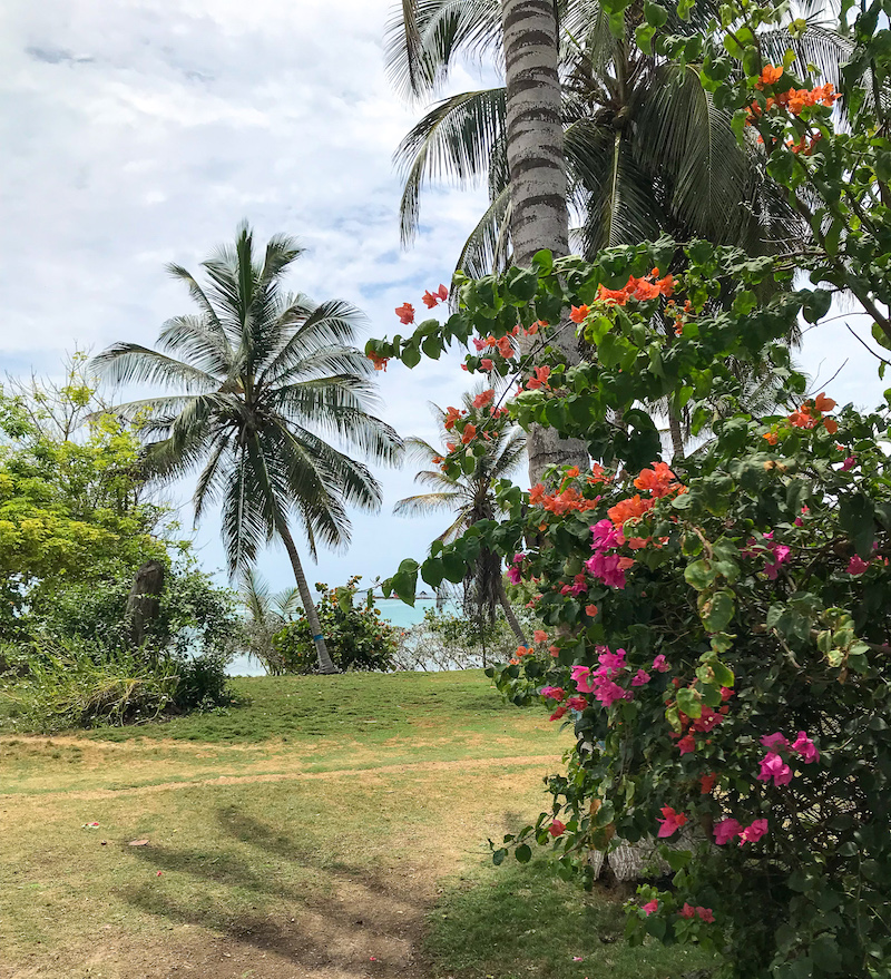 beach isla grande colombia