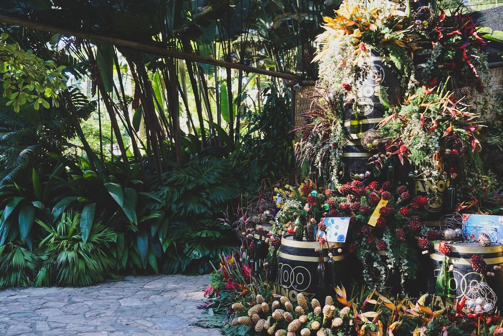 moody flower display during the festival of flowers in Medellin