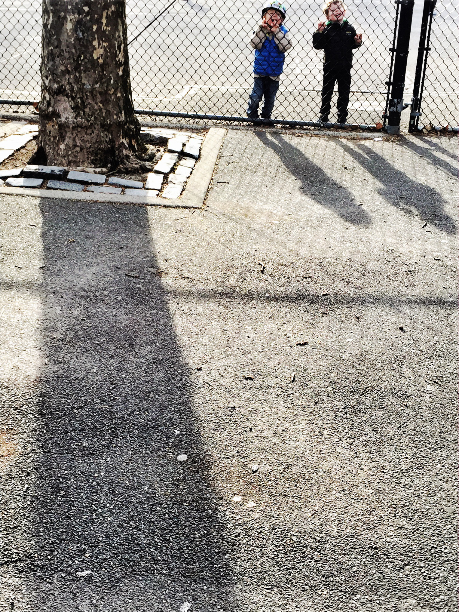 Off center composition at an unusual angle.