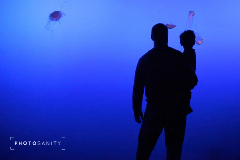 101212_photojournalistic_007.jpg