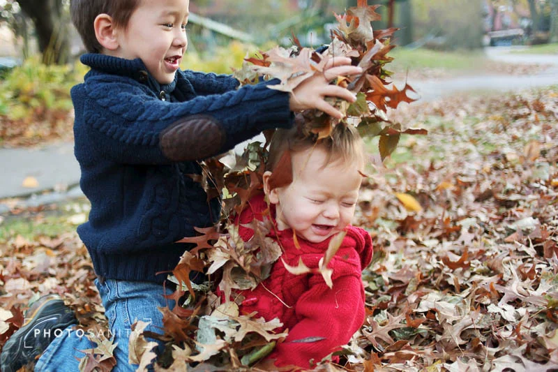 121111_pratt_leaves_001.jpg