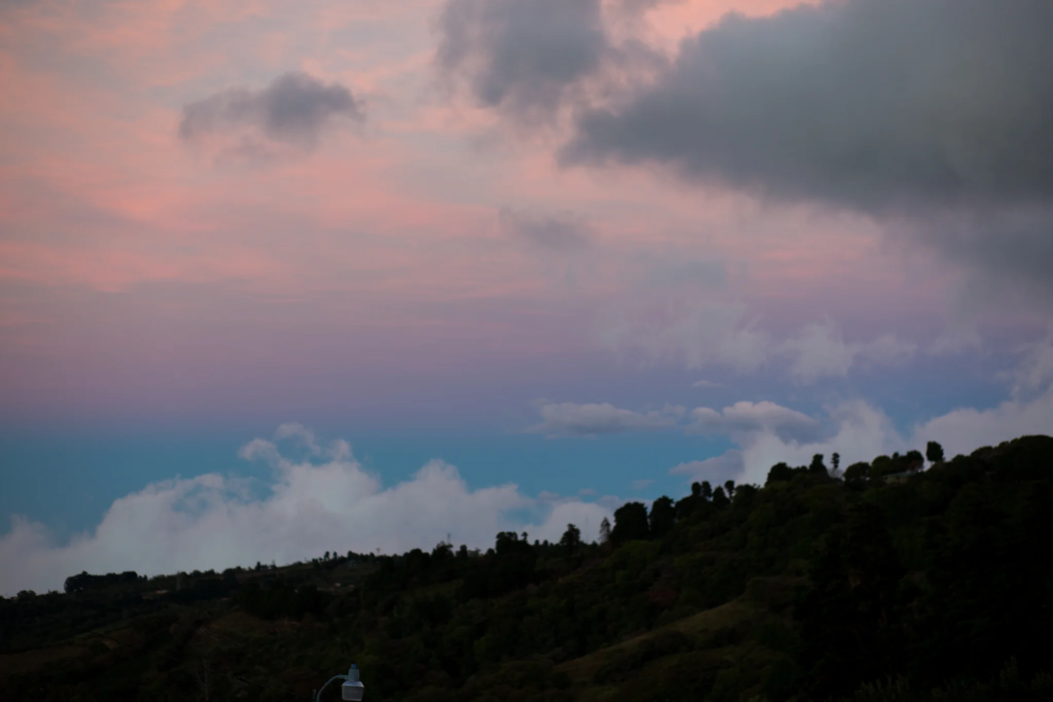 577A7224.jpg