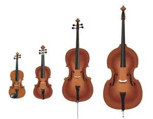 Violin Viola Cello Bass