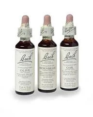 BACH FLOWER REMEDIES. BALANCING EMOTIONS. NEGATIVES TO POSITIVES.
