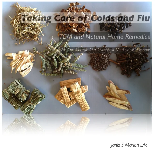 tccf cover.jpg