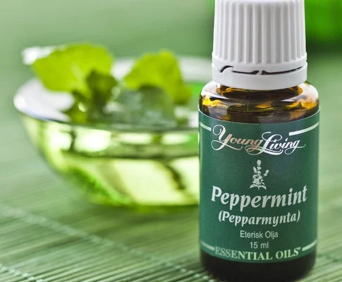 peppermint-oil.jpg