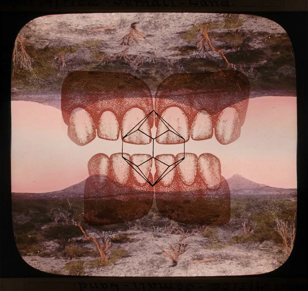 teef_1000.jpg