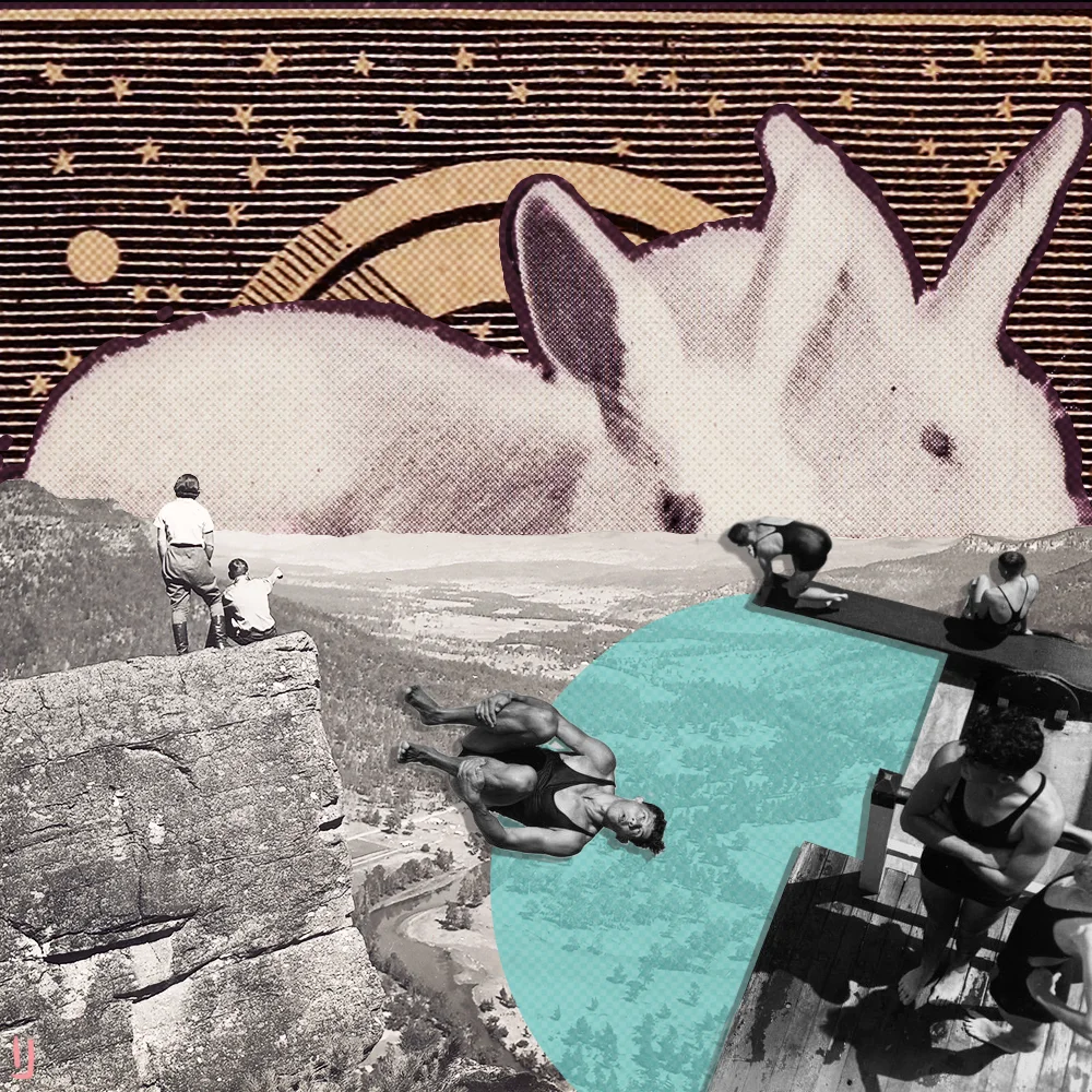 Wabbit.jpg