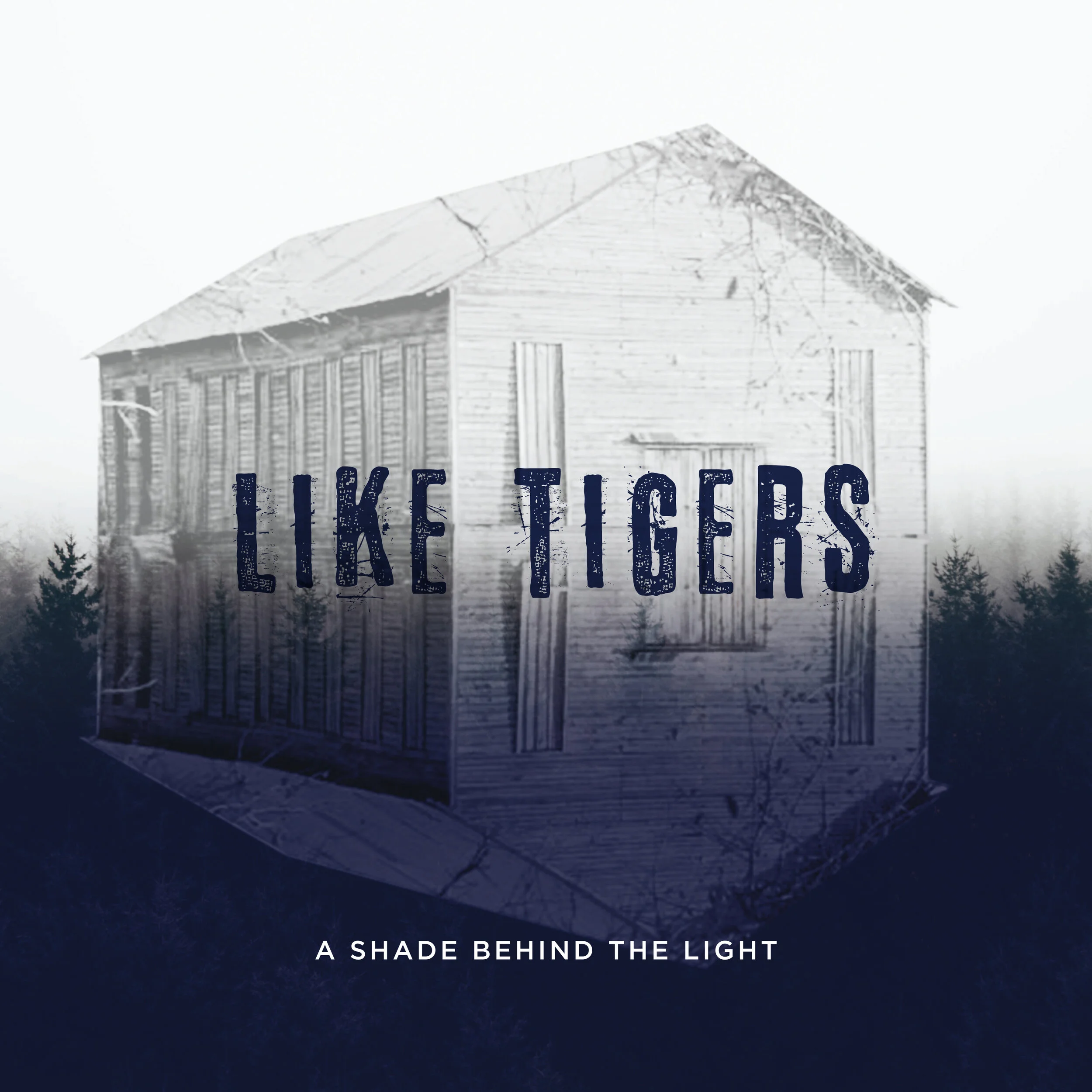 SPT-LikeTigers-AShade.jpg